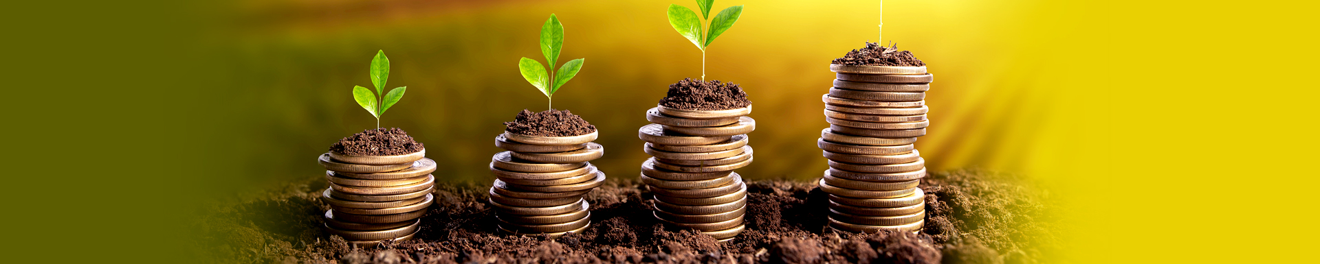 product-cate2-banner